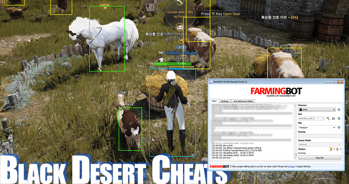 black desert online cheating