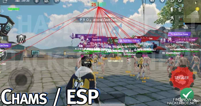VAC ESP